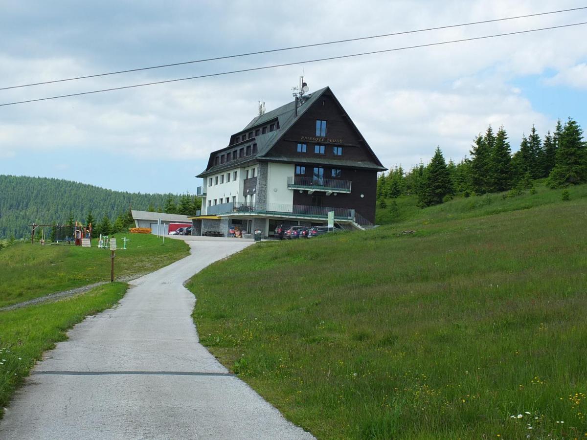 Horsky Hotel Friesovy Boudy Strážné 외부 사진